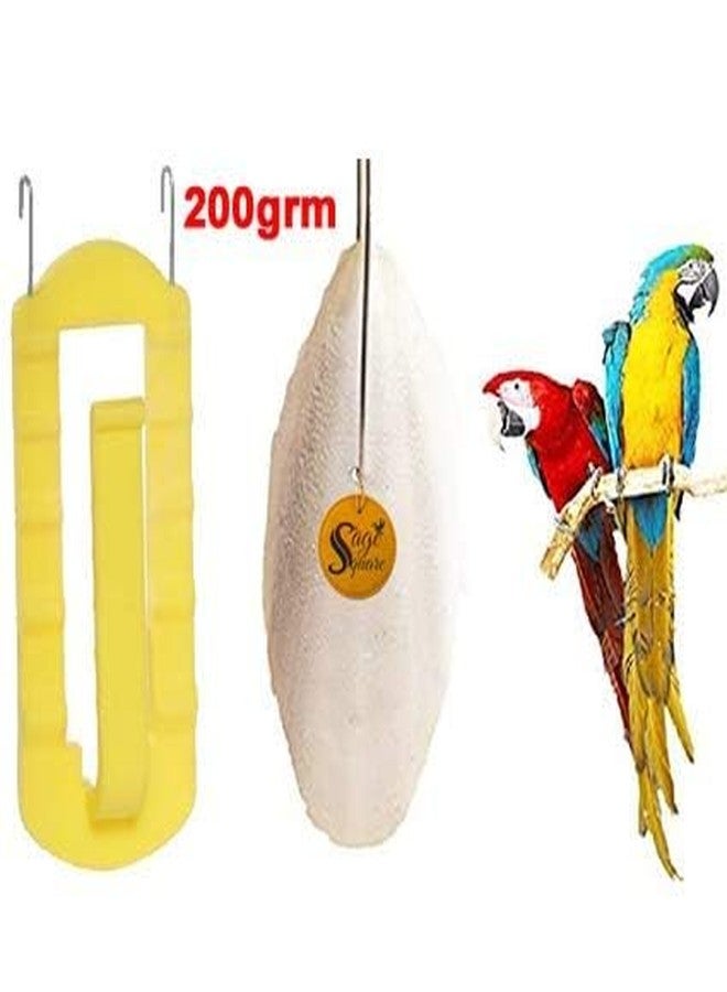 سايج سكوير سيج سكوير مصدر طبيعي للكالسيوم، عظم الحبار، مكعب معدني طبيعي، كالسيوم، للطيور والببغاء (200 غرام مع حامل) - Image 2